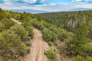 13500 Co Rd 251, Salida, CO 81201 - Photo 41