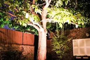 1486 S Garfield St, Denver, CO 80210 - Photo 45