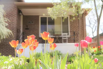 1486 S Garfield Street, Denver, CO 80210 - Photo 1