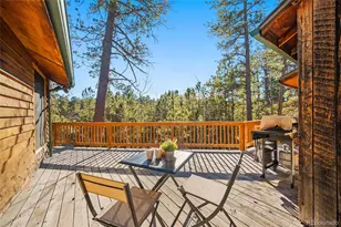 11855 Grandin Pt, Elbert, CO 80106 - Photo 23