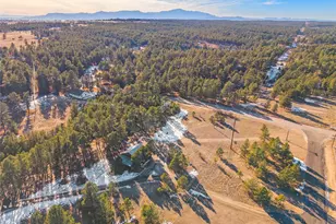 11855 Grandin Pt, Elbert, CO 80106 - Photo 45