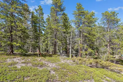 Rock Lake Road, Ward, CO 80481 - Photo 3