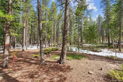 Rock Lake Road, Ward, CO 80481 - Photo 7