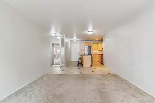 1121 Albion St, Denver, CO 80220 - Photo 19