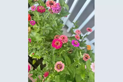 4759 S Hawthorne Street, Englewood, CO 80110 - Photo 15