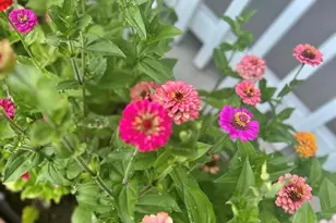 4759 S Hawthorne St, Englewood, CO 80110 - Photo 15