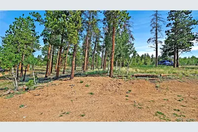 120 Road P78, Bailey, CO 80421 - Photo 15