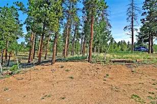 120 Rd P78, Bailey, CO 80421 - Photo 15
