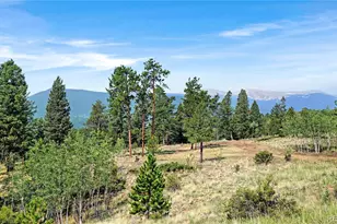 120 Rd P78, Bailey, CO 80421 - Photo 13