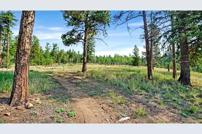 120 Road P78, Bailey, CO 80421 - Photo 11
