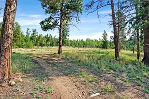 120 Rd P78, Bailey, CO 80421 - Photo 11