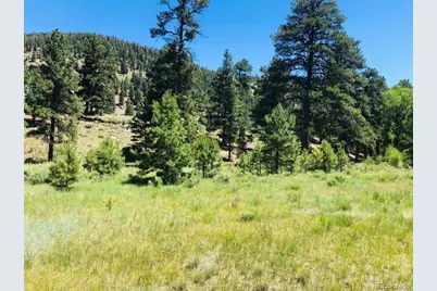 151 Wagon Train Drive, Antonito, CO 81120 - Photo 1