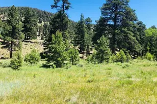 151 Wagon Train Dr, Antonito, CO 81120 - Photo 1