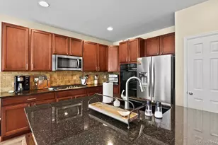 1430 Sky Rock Way, Castle Rock, CO 80109 - Photo 9