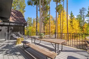 499 Kings Crossing Rd, Winter Park, CO 80482 - Photo 5