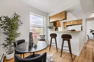 1629 N Clarkson St, Denver, CO 80218 - Photo 11