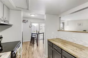 3428 S Locust St, Denver, CO 80222 - Photo 9