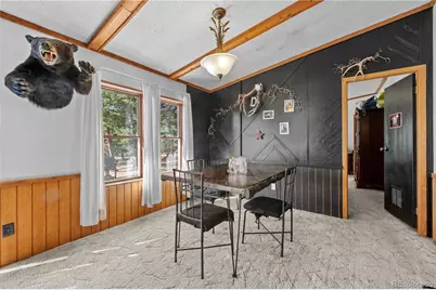 627 Harmon Drive, Cotopaxi, CO 81223 - Photo 13