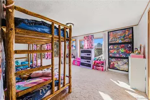 627 Harmon Dr, Cotopaxi, CO 81223 - Photo 27