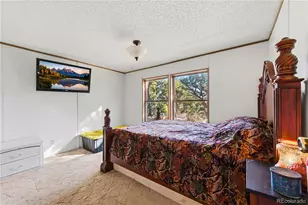 627 Harmon Dr, Cotopaxi, CO 81223 - Photo 25