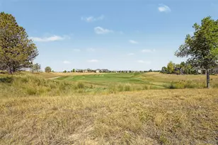 8493 E 149th Dr, Thornton, CO 80602 - Photo 29