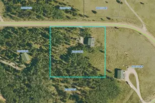314 Bluestem Way, Fairplay, CO 80440 - Photo 41