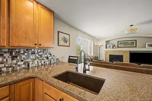 16566 High Desert Way, Parker, CO 80134 - Photo 15