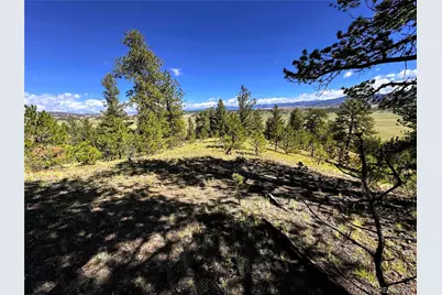 2669 Settele Drive, Hartsel, CO 80449 - Photo 13