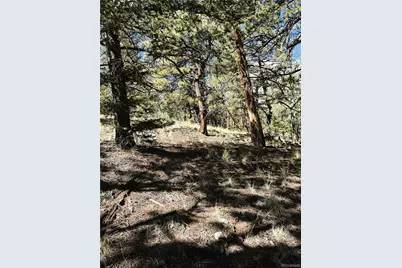 2669 Settele Drive, Hartsel, CO 80449 - Photo 19