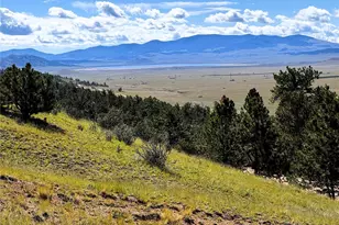2669 Settele Dr, Hartsel, CO 80449 - Photo 1