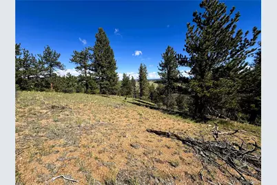 2669 Settele Drive, Hartsel, CO 80449 - Photo 15