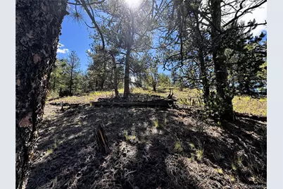 2669 Settele Drive, Hartsel, CO 80449 - Photo 25