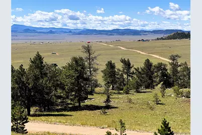 2669 Settele Drive, Hartsel, CO 80449 - Photo 7