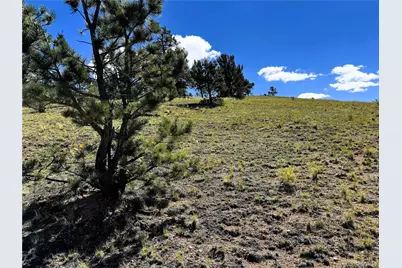 2669 Settele Drive, Hartsel, CO 80449 - Photo 29