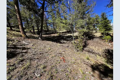 2669 Settele Drive, Hartsel, CO 80449 - Photo 17