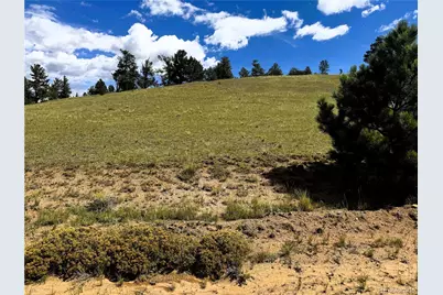 2669 Settele Drive, Hartsel, CO 80449 - Photo 5
