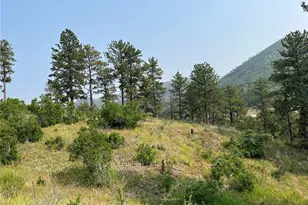 5330 Chipita Pines Dr, Cascade, CO 80809 - Photo 1