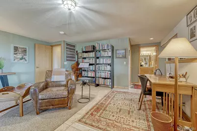6738 Condor Run, Littleton, CO 80125 - Photo 39