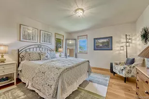 6738 Condor Run, Littleton, CO 80125 - Photo 29
