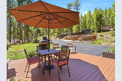 32627 Lila Drive, Conifer, CO 80433 - Photo 37