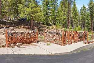 32627 Lila Dr, Conifer, CO 80433 - Photo 5