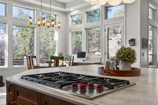 218 Hidden Valley Ln, Castle Rock, CO 80108 - Photo 9