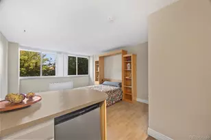 1196 N Grant Street, Denver, CO 80203 - Photo 5