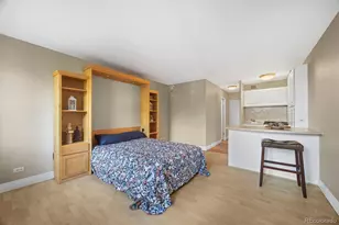 1196 N Grant Street, Denver, CO 80203 - Photo 3