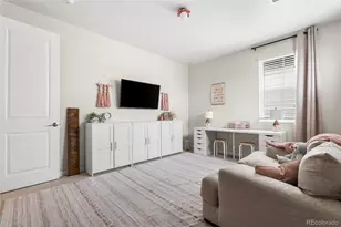 3350 Backdrop Ct, Castle Rock, CO 80108 - Photo 33