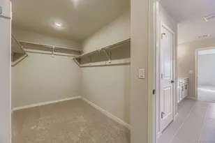 13769 Daffodil Pt, Parker, CO 80134 - Photo 19