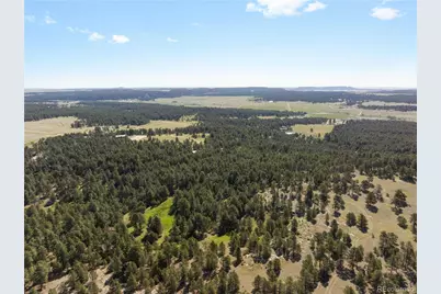18673 N Elbert Road, Elbert, CO 80106 - Photo 21