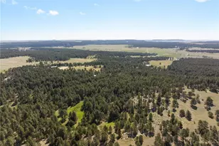 18673 N Elbert Rd, Elbert, CO 80106 - Photo 21