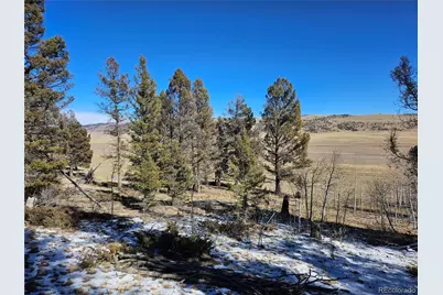 1412 Redhill Road, Fairplay, CO 80440 - Photo 9