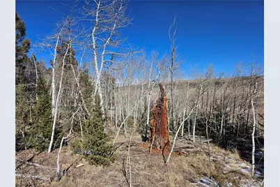 1412 Redhill Road, Fairplay, CO 80440 - Photo 11